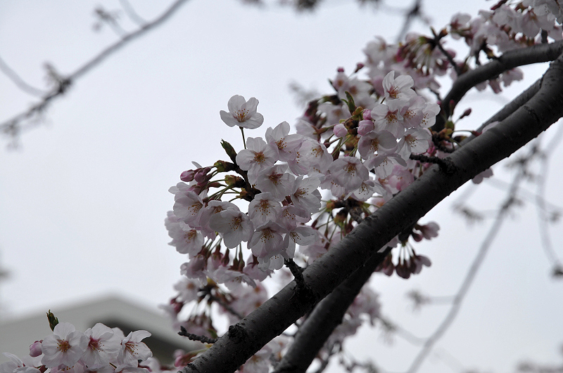 image0113