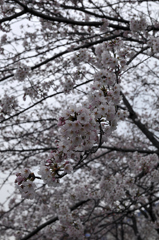 image0114