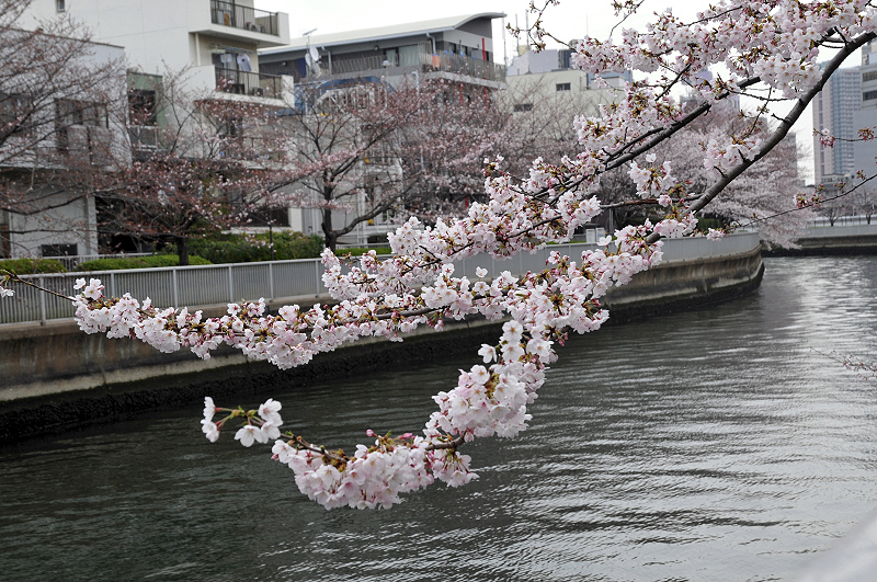 image0115