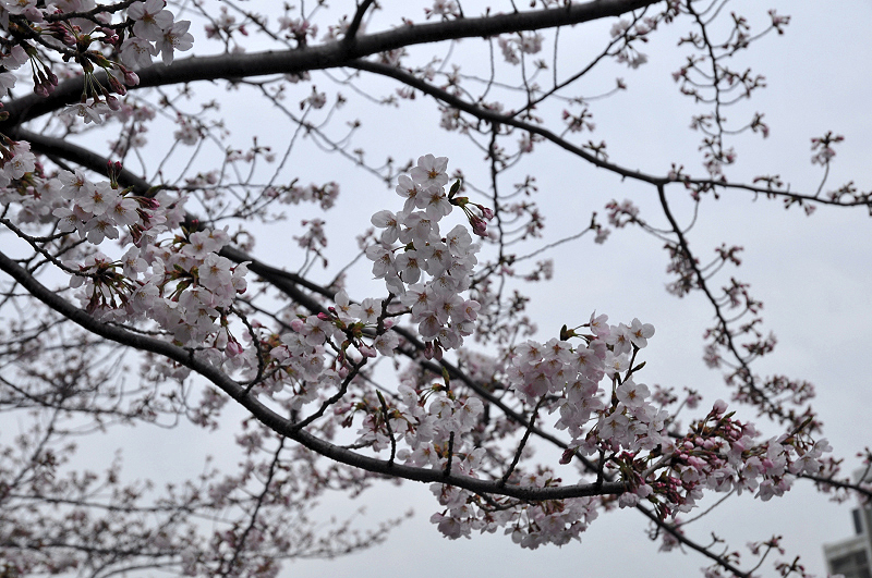 image0117