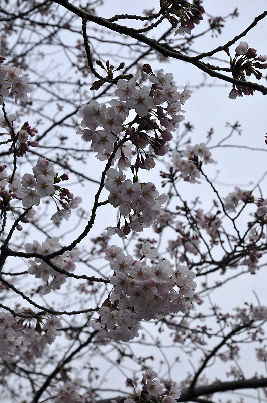 image0118