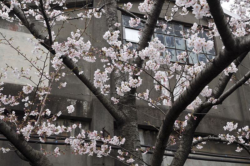 image0123
