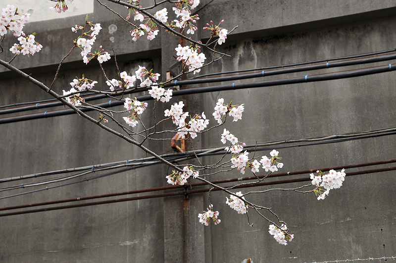 image0124