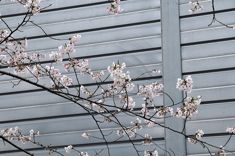 image0128