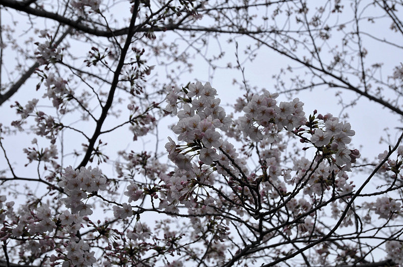 image0129