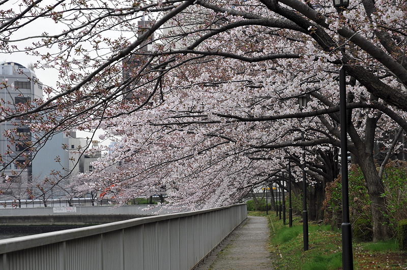 image0130