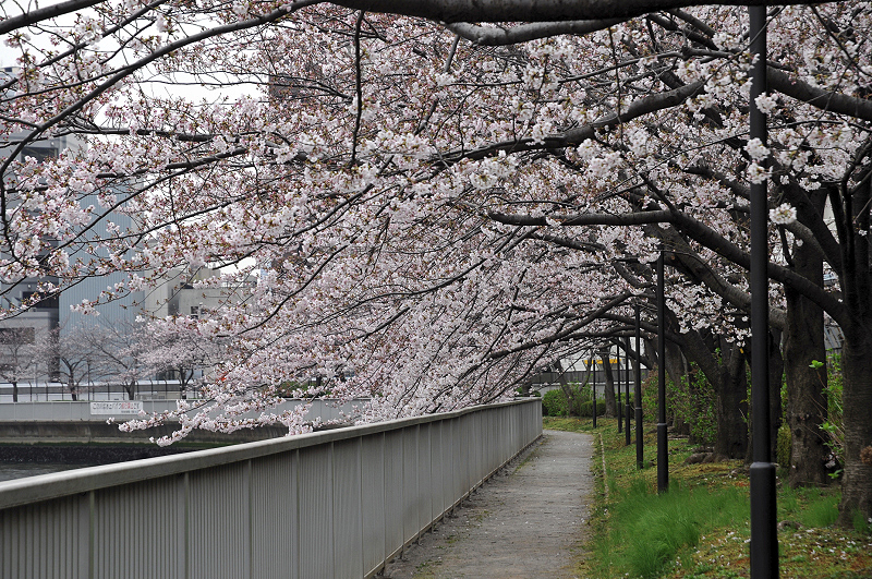 image0131