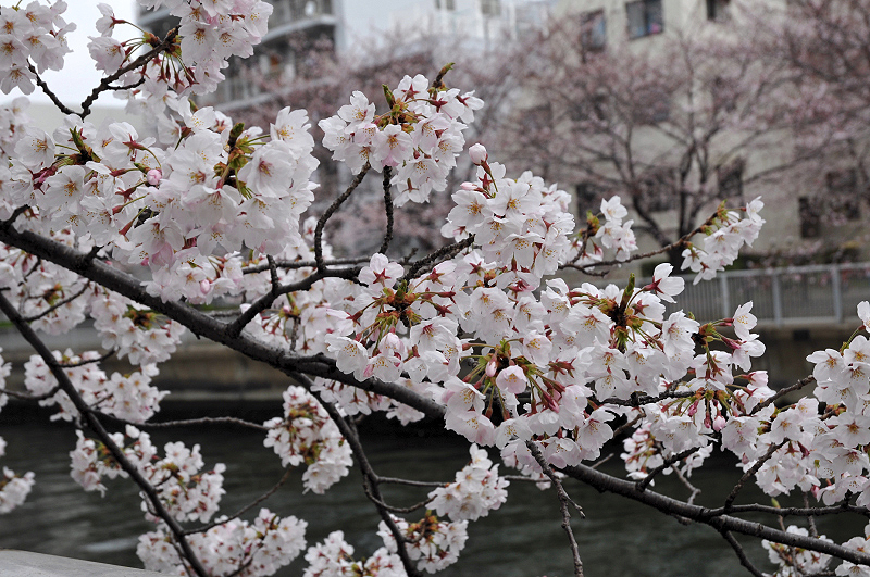 image0133