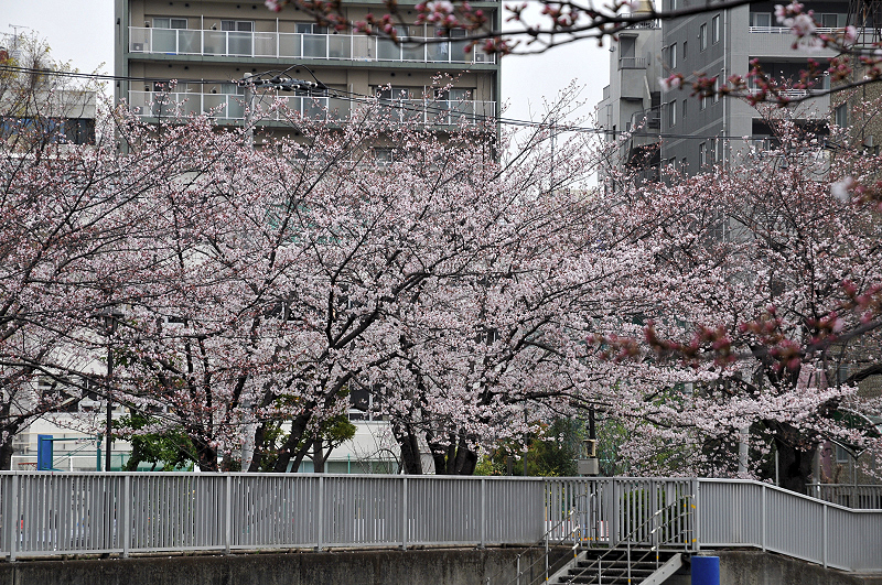 image0143