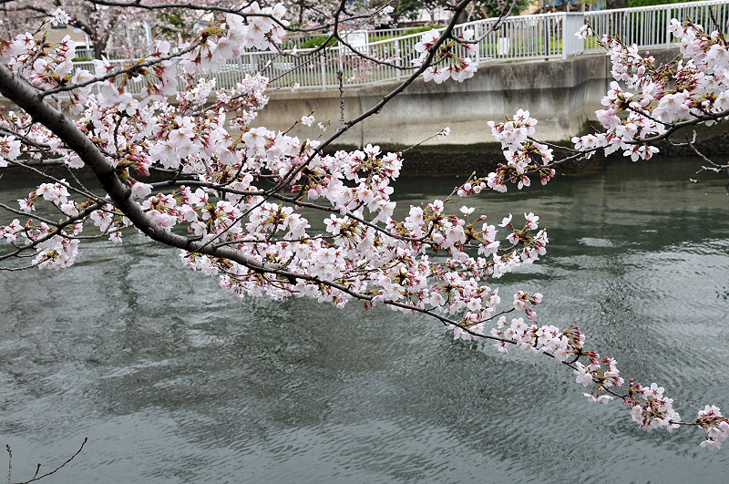 image0146