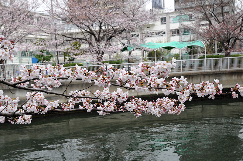 image0150