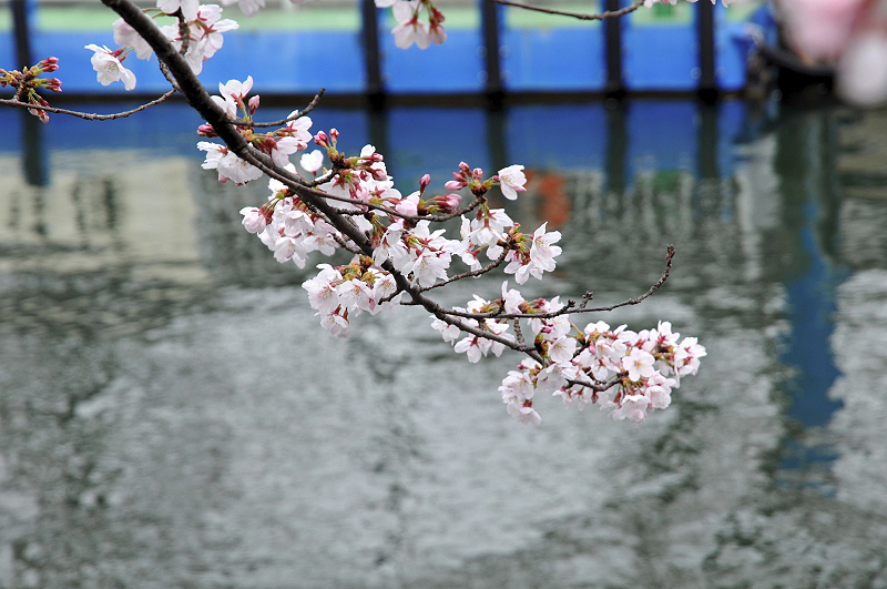 image0152