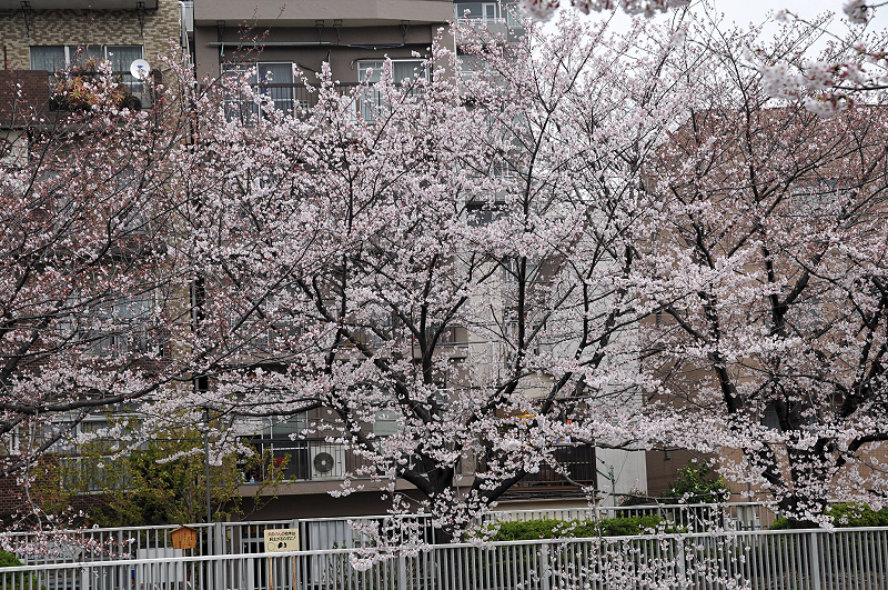 image0156