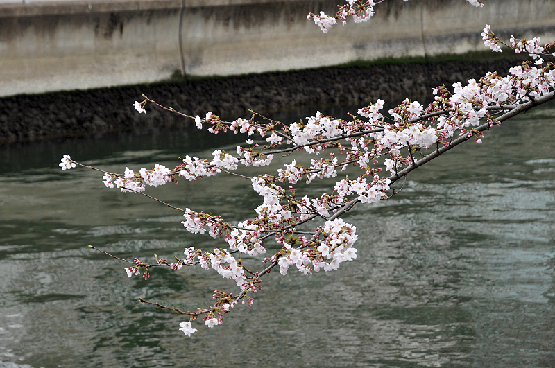 image0157