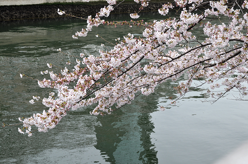 image0159
