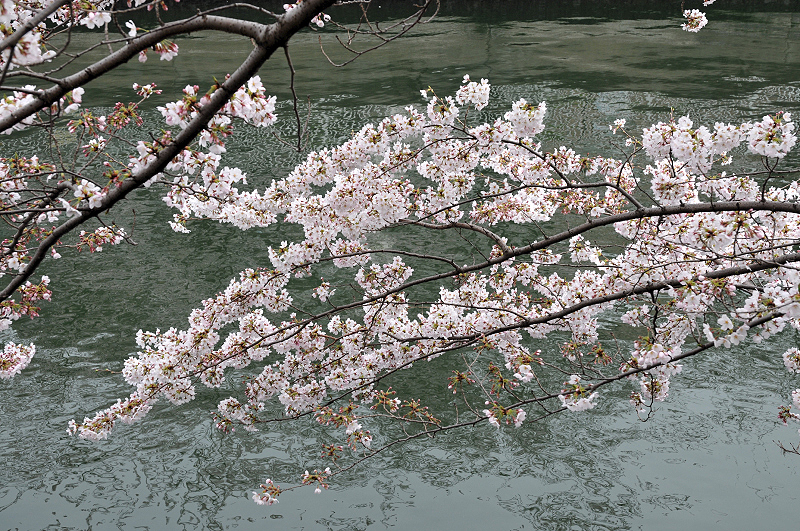 image0163