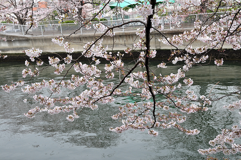 image0166