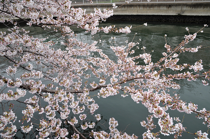 image0168