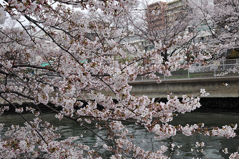 image0169