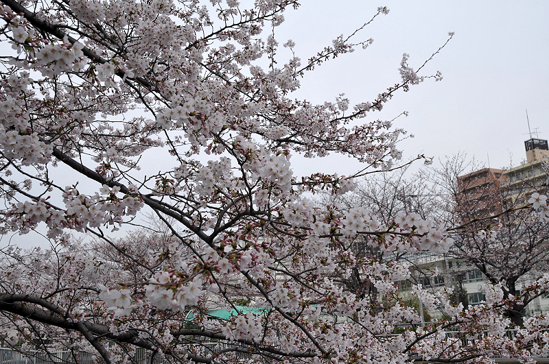 image0170