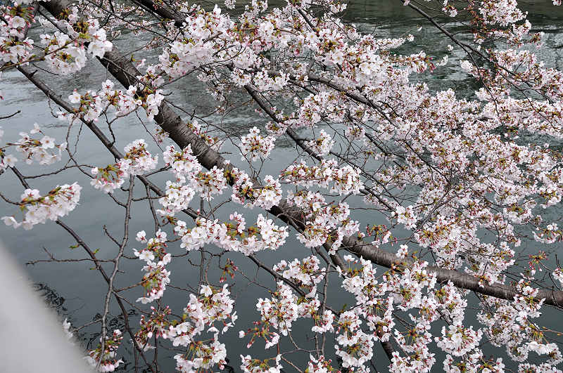 image0171