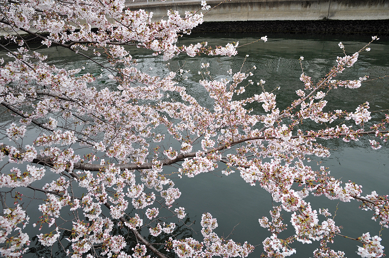 image0172
