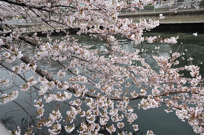 image0173