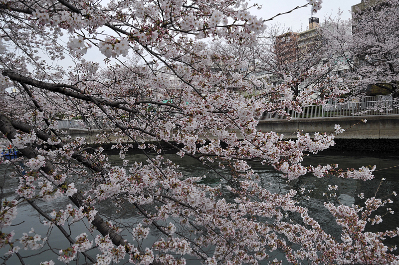 image0174