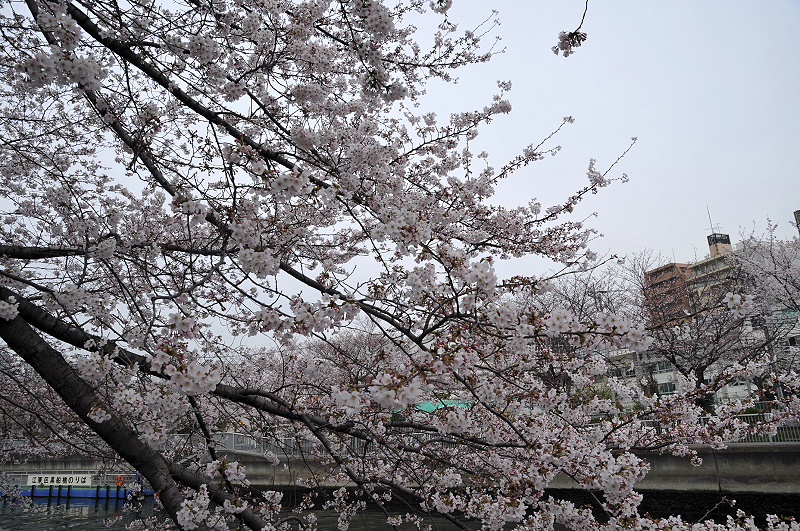 image0175
