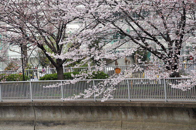 image0179
