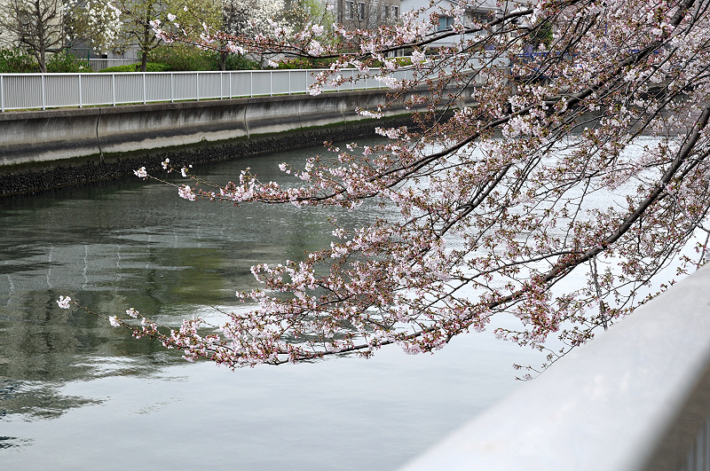 image0181