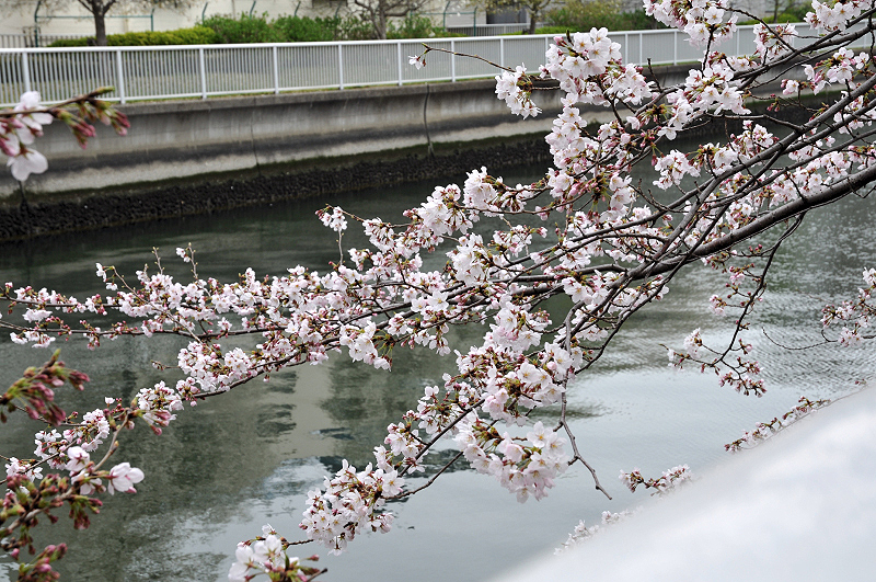 image0183