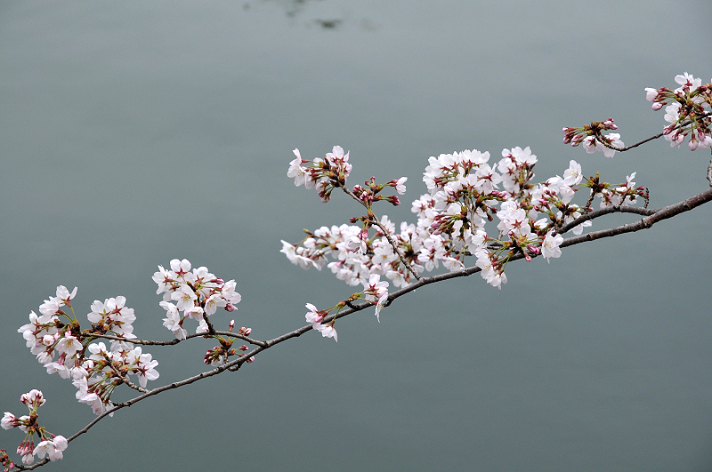 image0184