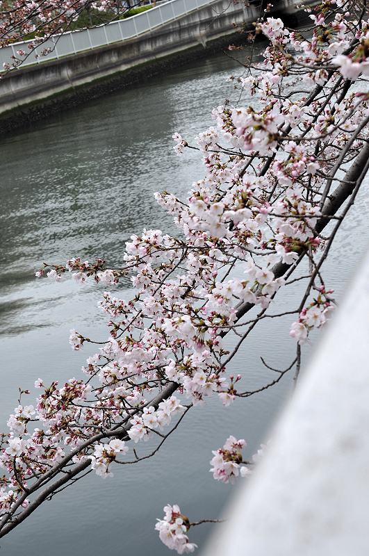 image0186