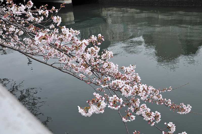 image0189