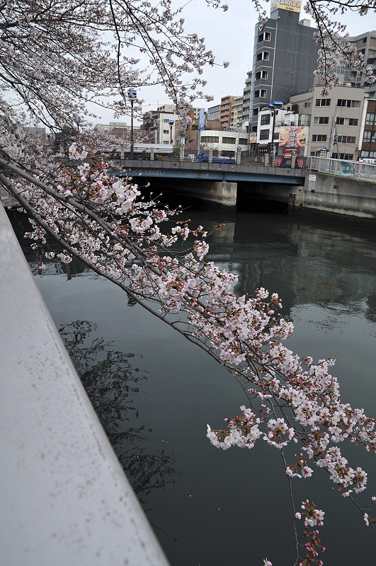 image0190