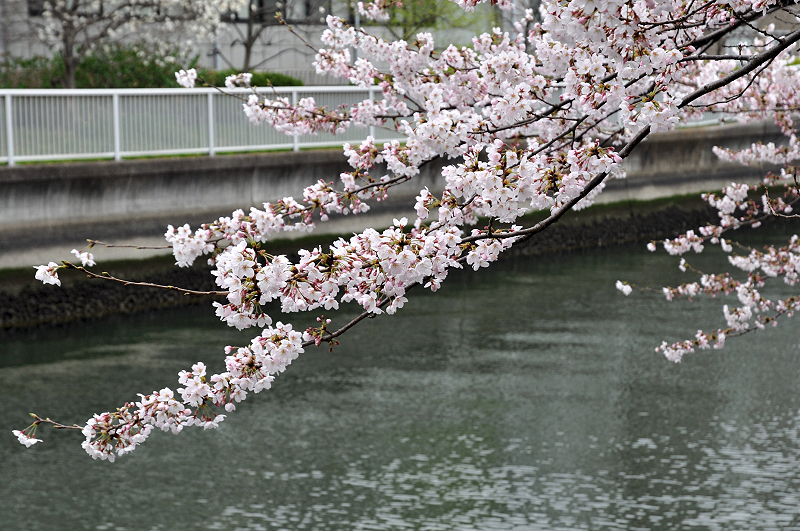 image0192