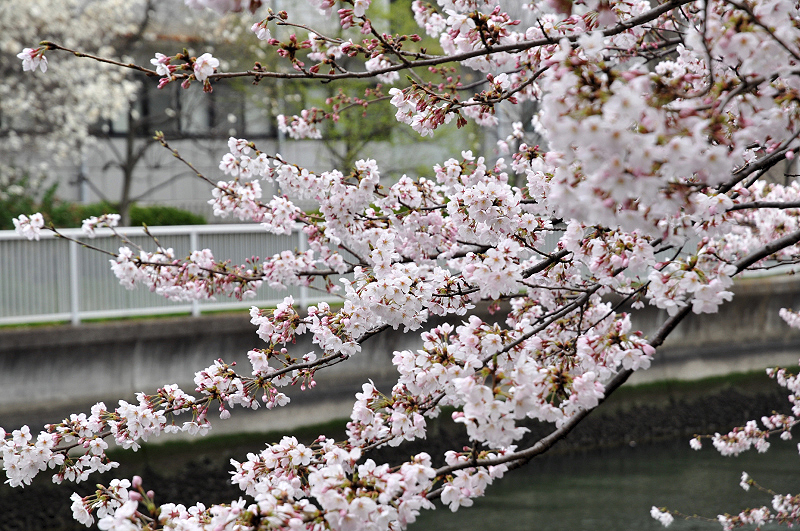 image0193