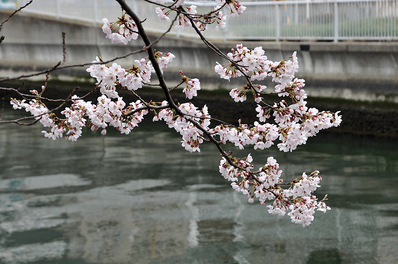 image0194