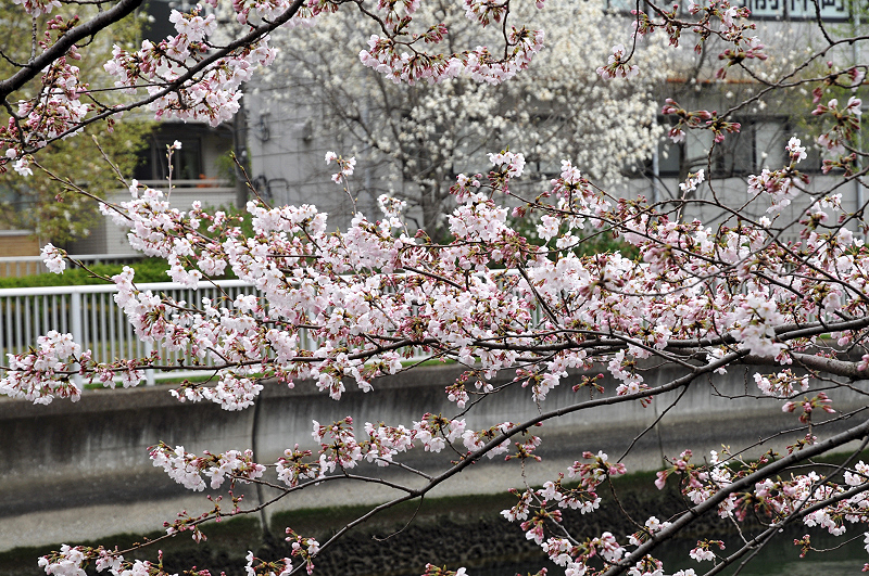 image0196