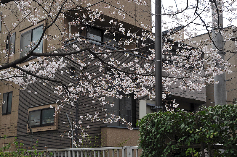 image0197