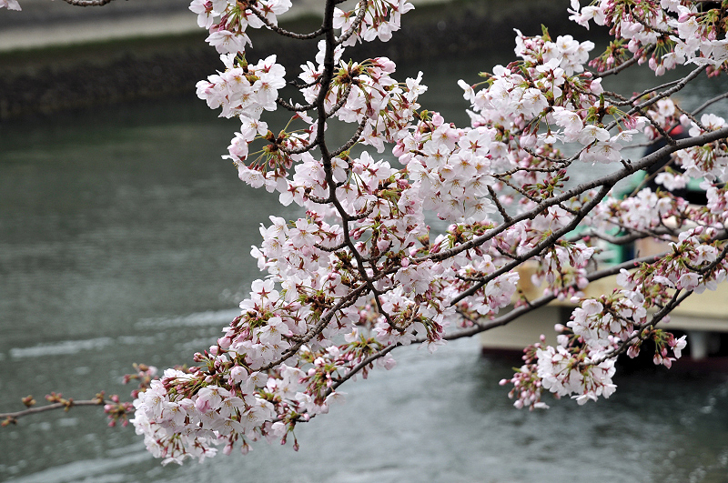 image0200