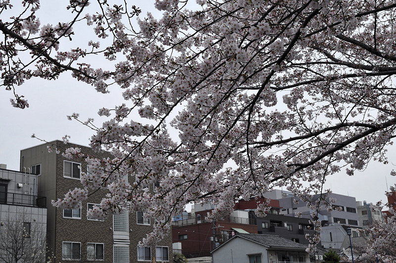 image0202