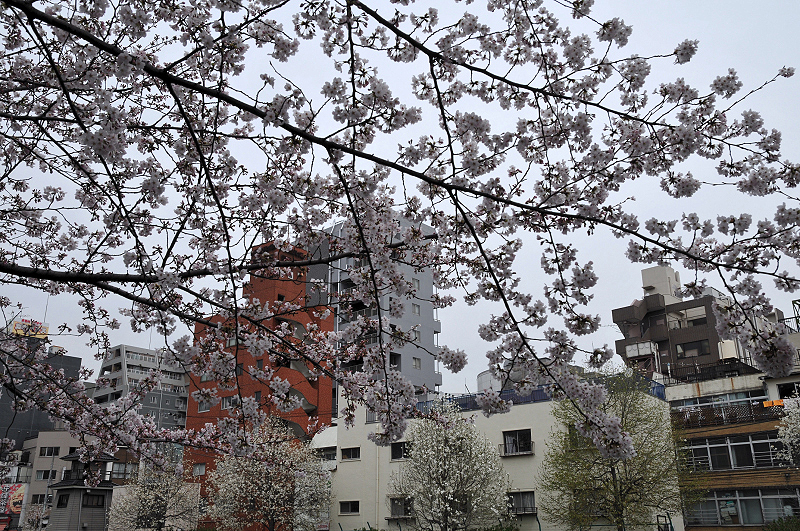 image0203