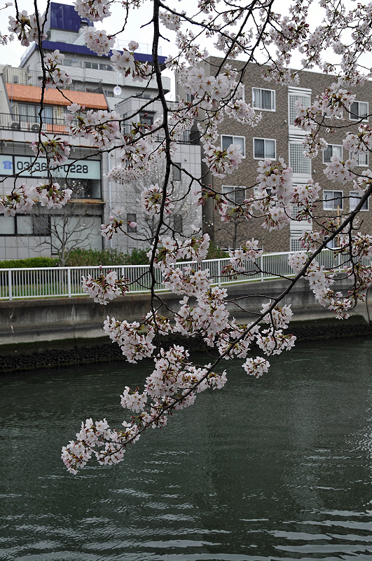 image0204