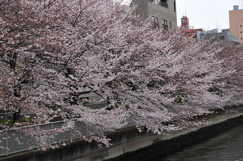 image0210