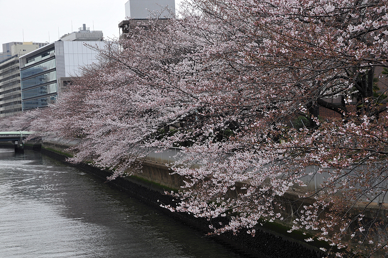 image0211