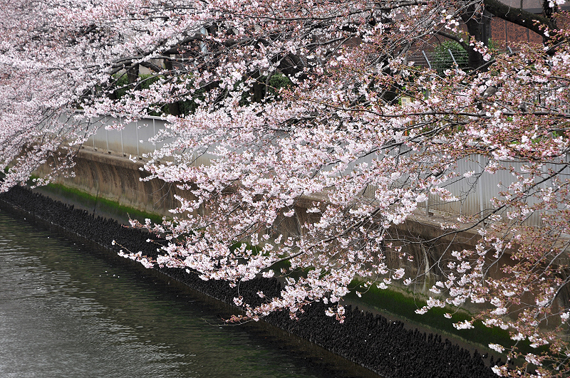 image0212