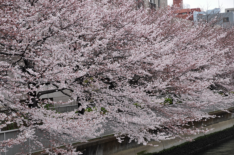 image0214
