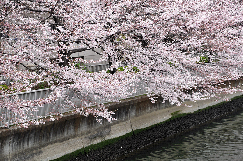 image0215